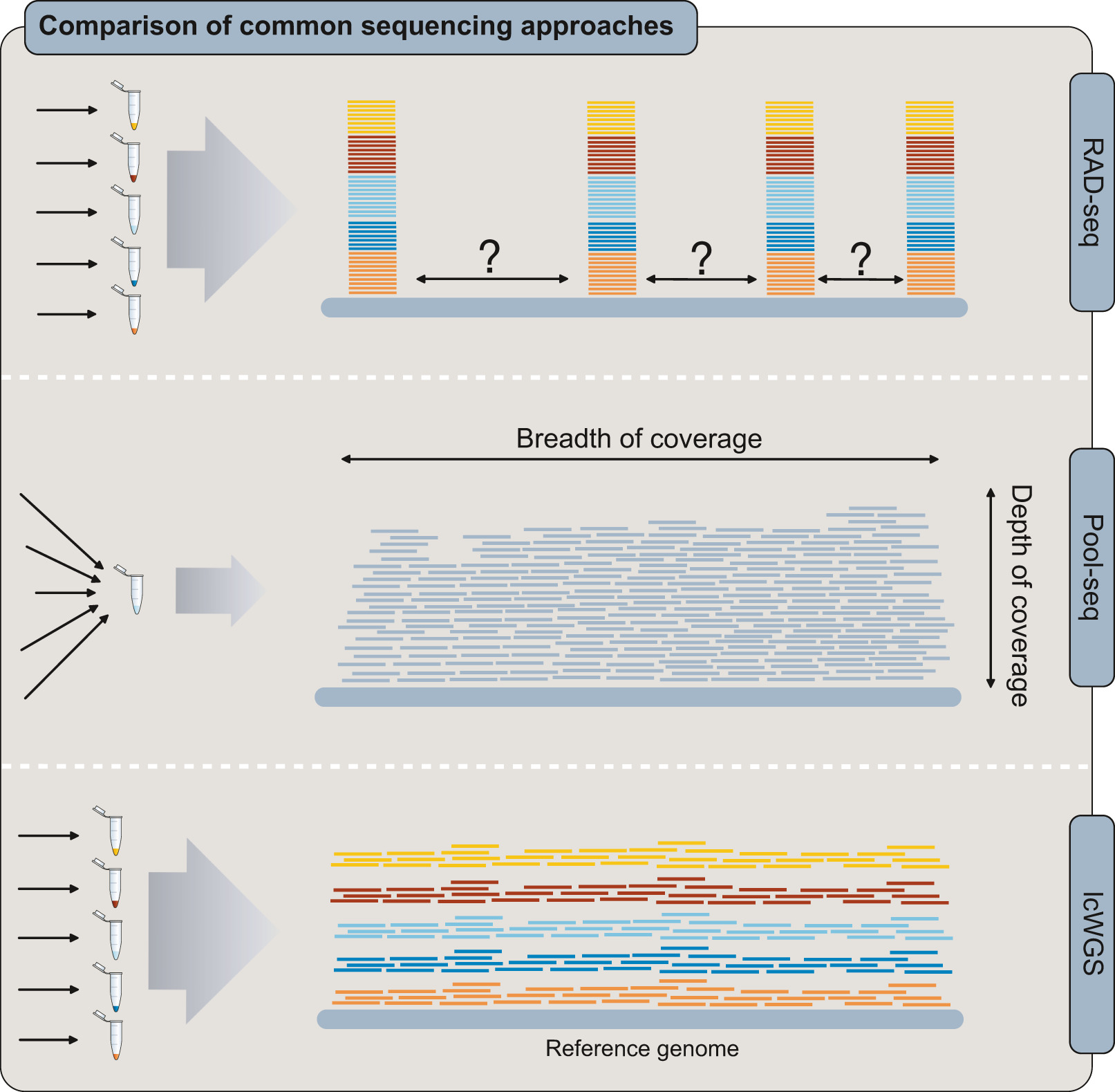 Figure 1 from (Lou et al. 2021) comparing the distribution of sequencing reads mapped to a reference genome.