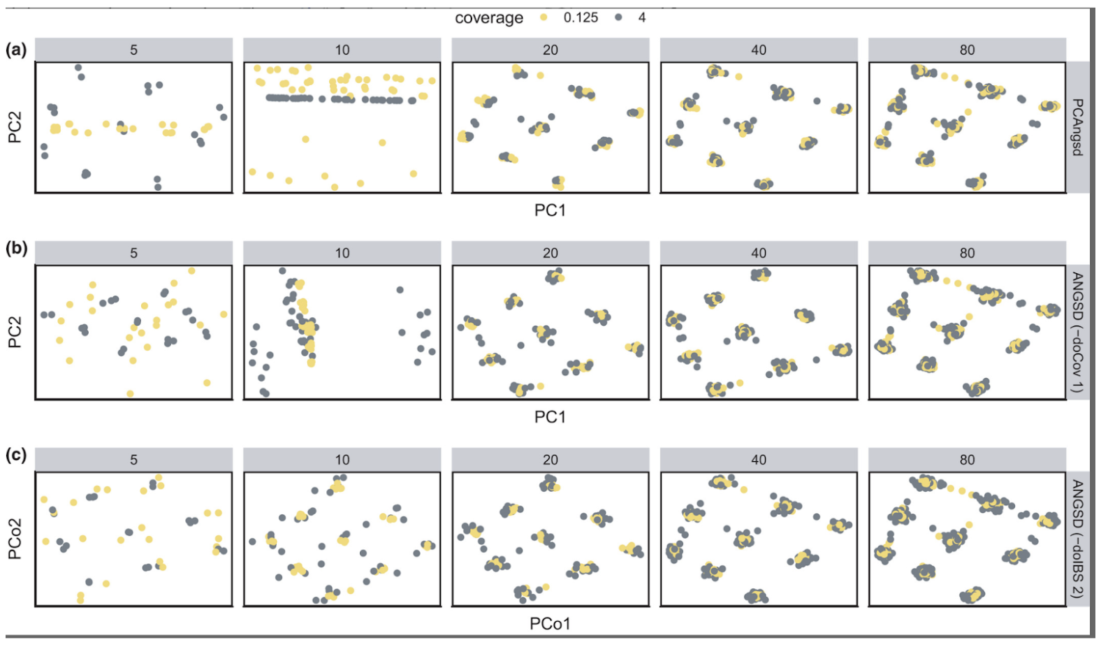 Figure 7. Differences in the sensitivity of three PCA programs to batch effects caused by different sequencing depths and number of samples. The number at the top of each panel is the number of individuals sampled from each simulated population. Color represents sequencing depth: yellow points mark individuals that were simulated sequenced at 0.125×; grey points for 4×. Figure 6 from @Lou2022-lc.